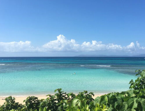【地方創生／地域活性化ブログ】沖縄の離島へのテレワーク導入による雇用創出の現場から